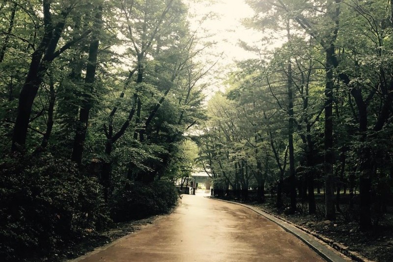 直指寺山寺体验 (8/14)