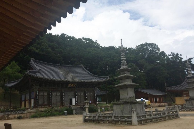 直指寺山寺体验 (12/14)