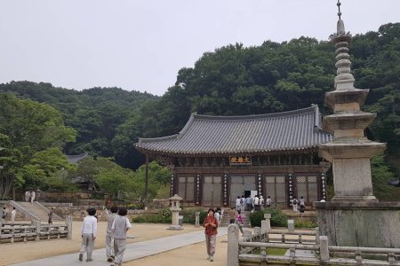 直指寺山寺体验