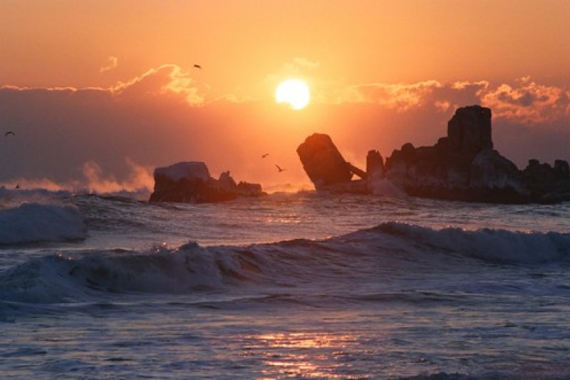 高城花津浦迎日节