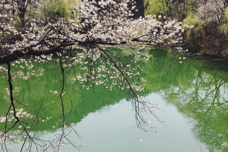 德川书院