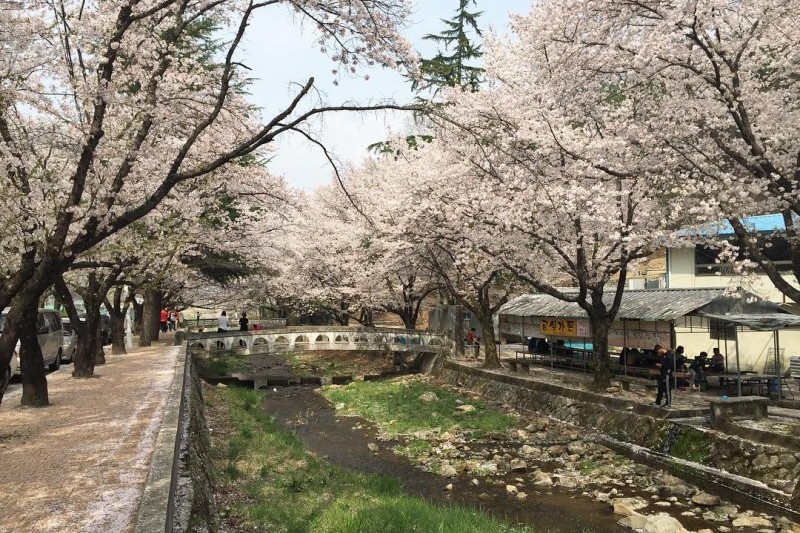 德川书院