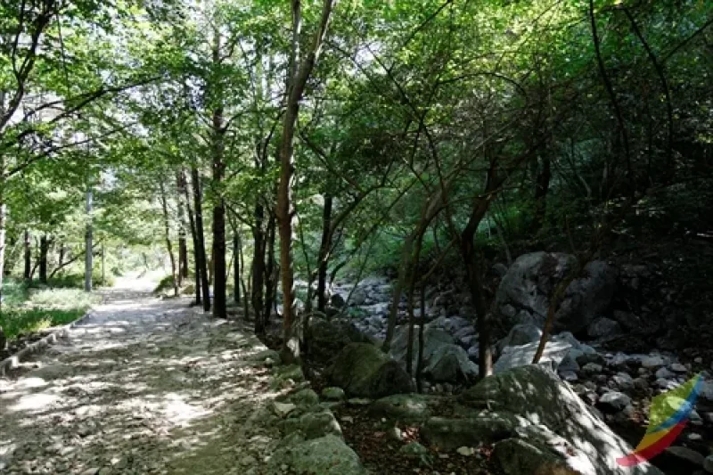 母岳山道立公园 (2/8)