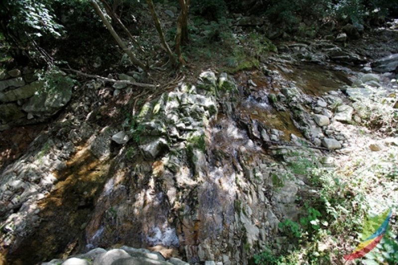 母岳山道立公园 (3/8)