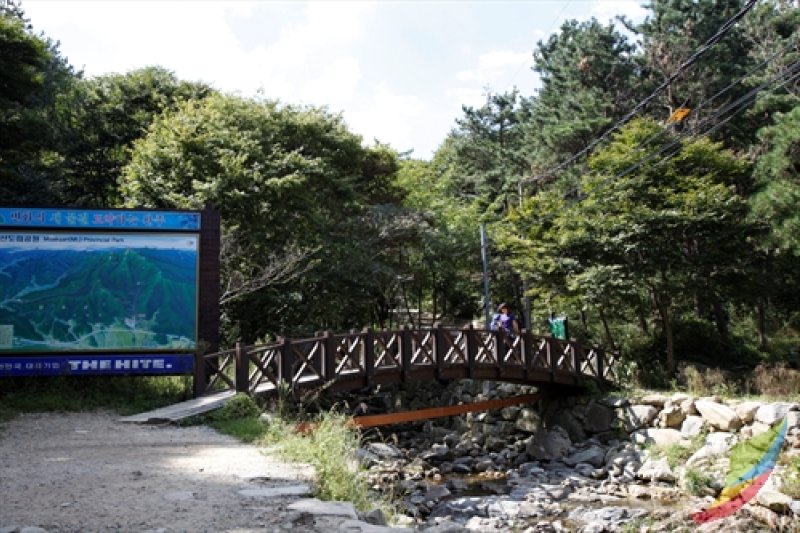 母岳山道立公园 (4/8)