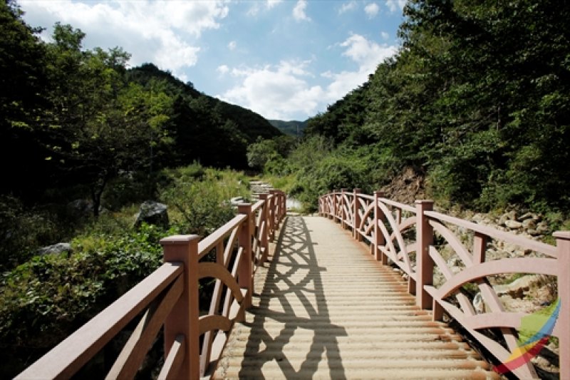 母岳山道立公园 (5/8)