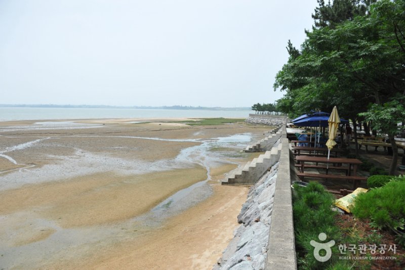 锯头海水浴场 (6/6)