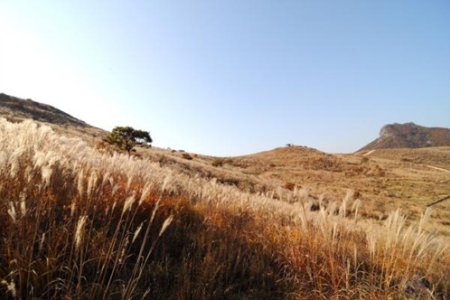 黄梅山郡立公园