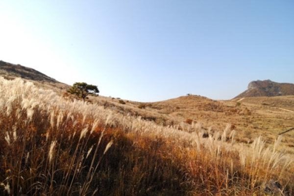 黄梅山郡立公园