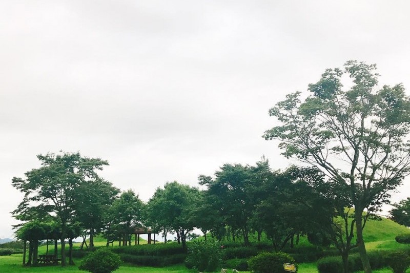 国立罗州博物馆 (3/6)