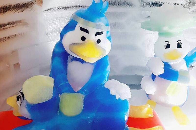Freezing Island冰雪乐园 (9/12)
