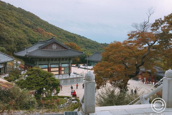 10月 : 被染红的仁川 沉醉在回忆的秋天