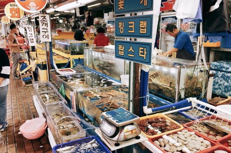 苏来浦综合鱼市场