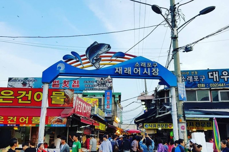 苏来浦综合鱼市场