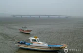 信岛