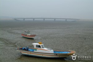 信岛