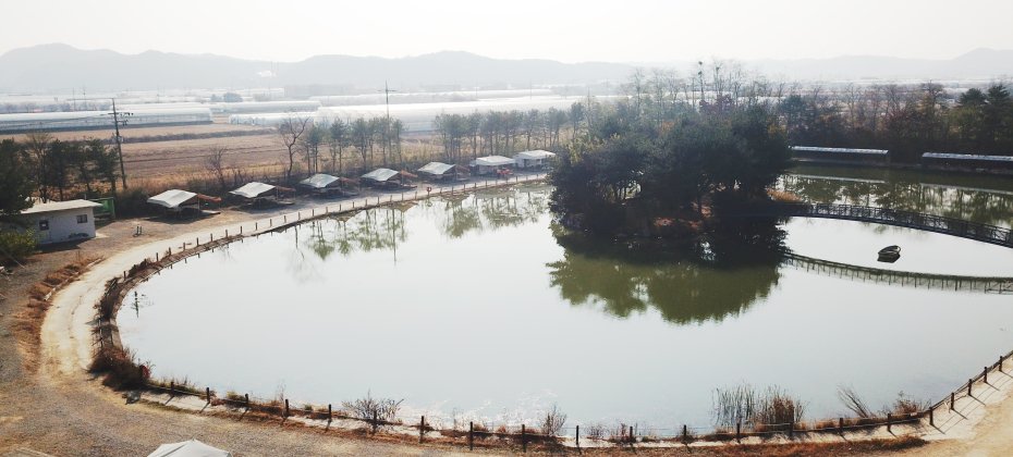 龙仁 松园 Glamping Park Camping Tour  &amp; Everland