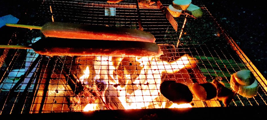 龙仁 松园 Glamping Park Camping Tour  &amp; Everland