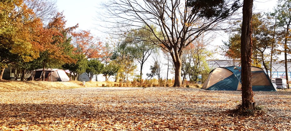 龙仁 松园 Glamping Park Camping Tour  &amp; Everland