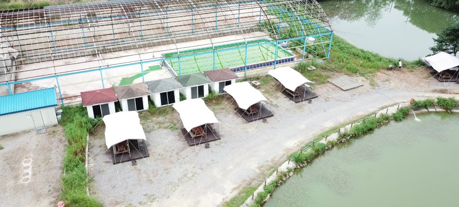 龙仁 松园 Glamping Park Camping Tour  &amp; Everland
