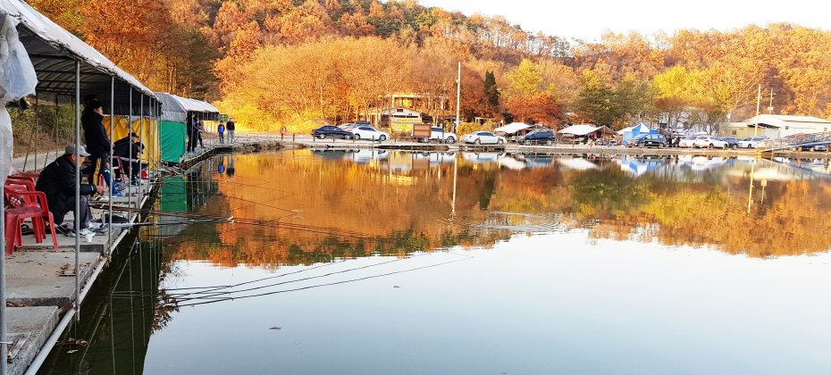 龙仁 松园 Glamping Park Camping Tour  &amp; Everland