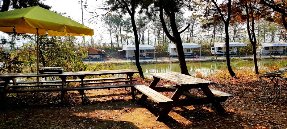 龙仁 松园 Glamping Park Camping Tour  &amp; Everland