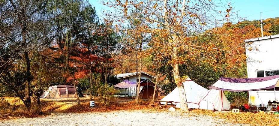 龙仁 松园 Glamping Park Camping Tour  &amp; Everland