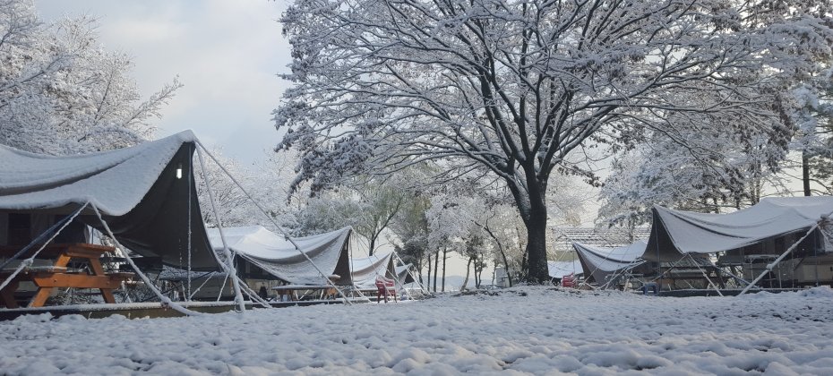龙仁 松园 Glamping Park Camping Tour  &amp; Everland