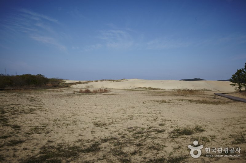 新斗里海岸沙丘