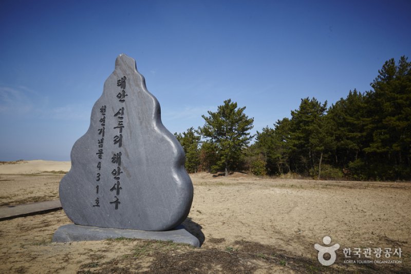 新斗里海岸沙丘