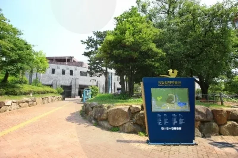 国立金海博物馆迎新春传统文化活动