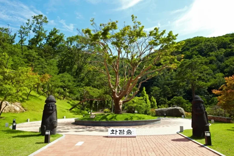 和谈林<br />화담숲