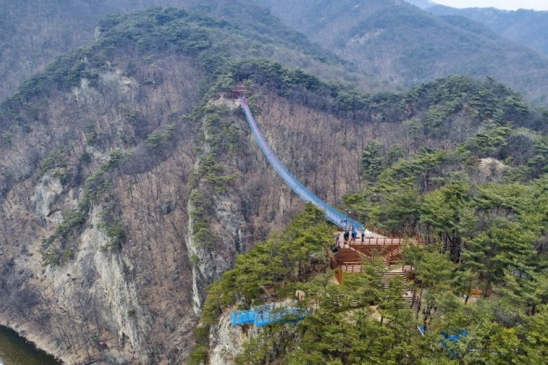 原州小金山吊桥원주 소금산 출렁다리 (4/23)