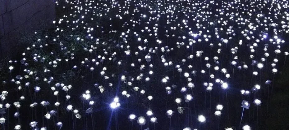 东大门设计广场(DDP）동대문디자인플라자(DDP) LED玫瑰花园