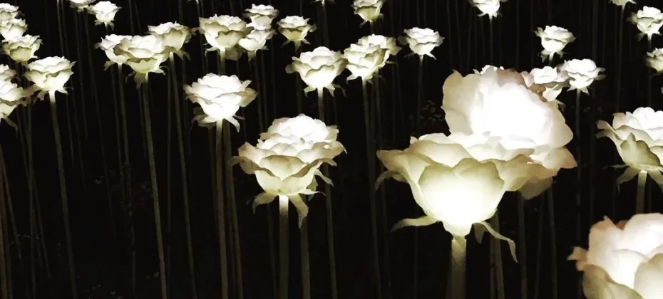 东大门设计广场(DDP）동대문디자인플라자(DDP) LED玫瑰花园