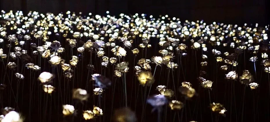 东大门设计广场(DDP）동대문디자인플라자(DDP) LED玫瑰花园