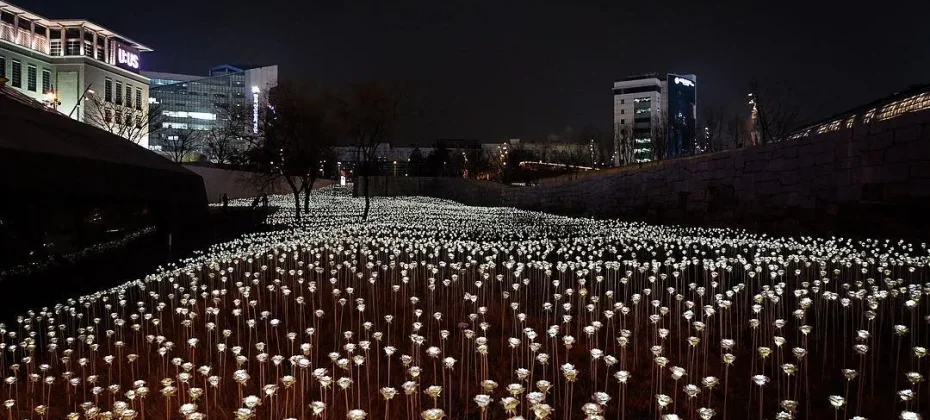东大门设计广场(DDP）동대문디자인플라자(DDP) LED玫瑰花园