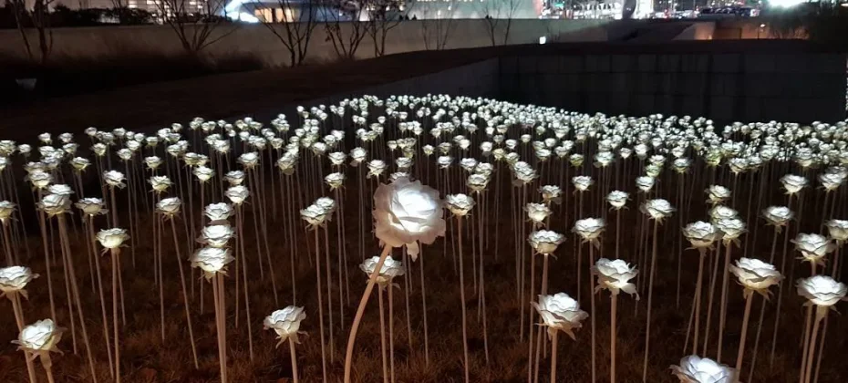 东大门设计广场(DDP）동대문디자인플라자(DDP) LED玫瑰花园