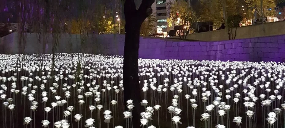 东大门设计广场(DDP）동대문디자인플라자(DDP) LED玫瑰花园