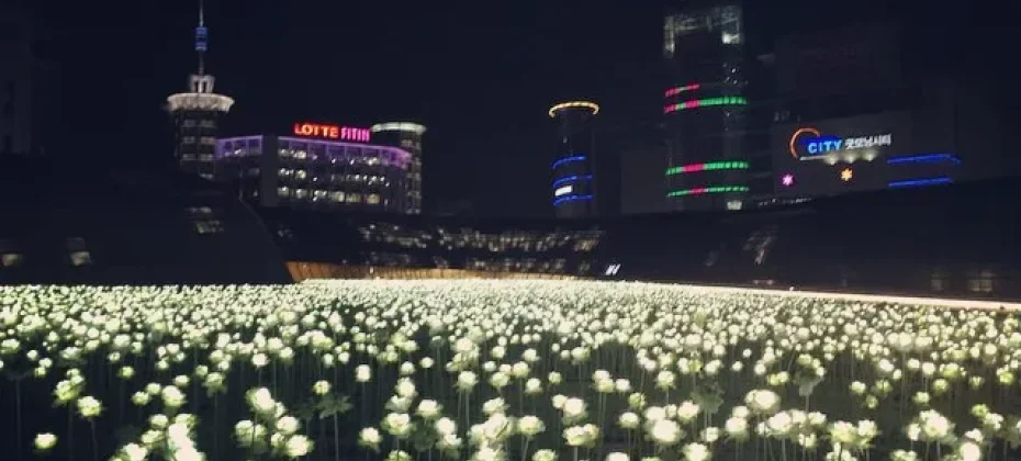 东大门设计广场(DDP）동대문디자인플라자(DDP) LED玫瑰花园