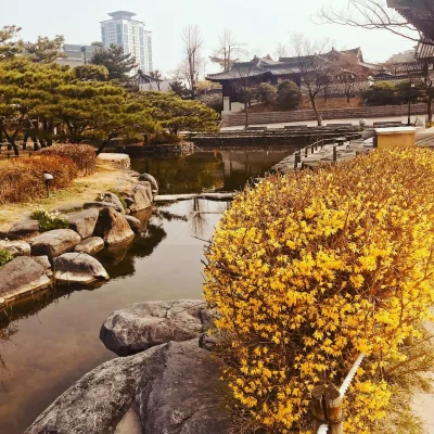 【韓國旅遊信息】 南山谷韩屋村，迎春纪念传统文化体验活动