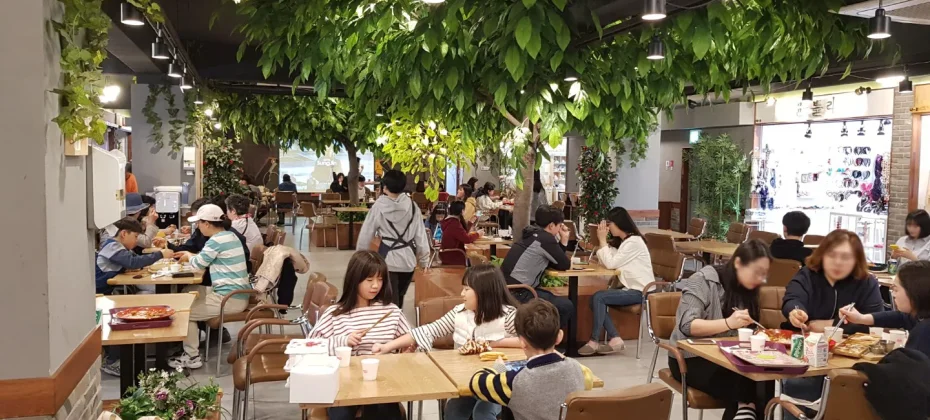 江华岛文化/历史疗愈一日游：主要观光地+和平瞭望台+芜菁泡菜体验