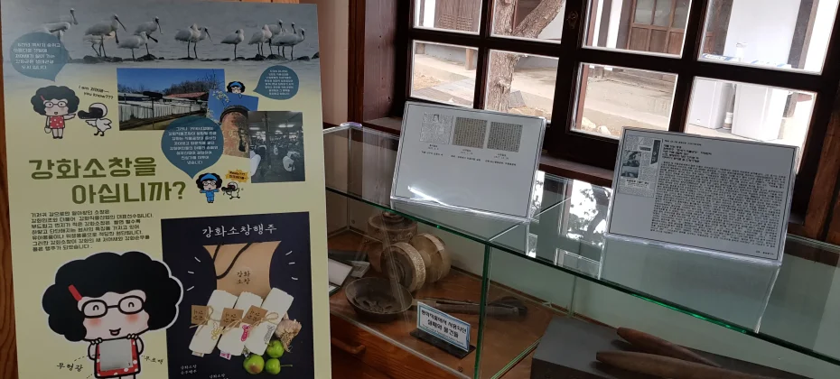 江华岛文化/历史疗愈一日游：主要观光地+和平瞭望台+芜菁泡菜体验