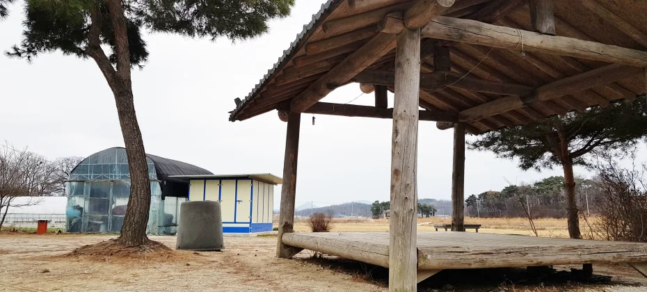 江华岛文化/历史疗愈一日游：主要观光地+和平瞭望台+芜菁泡菜体验