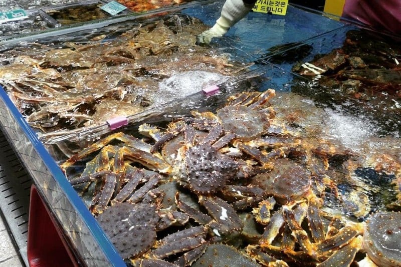 仁川综合鱼市场