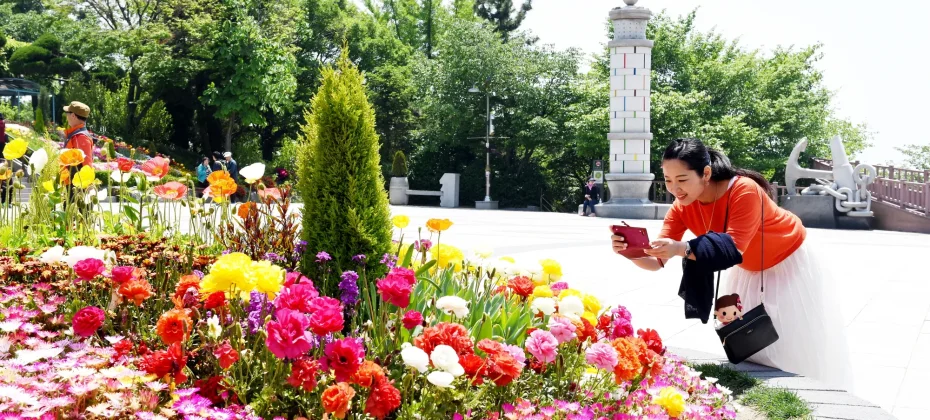 韩剧《鬼怪》拍摄地当地游 - 仁川旅游