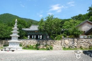内院庵