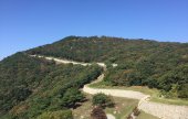 大兴任存城