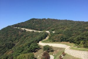 大兴任存城