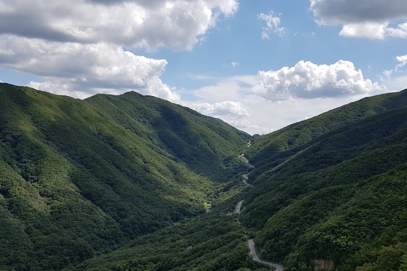 迦智山道立公园 (1/3)